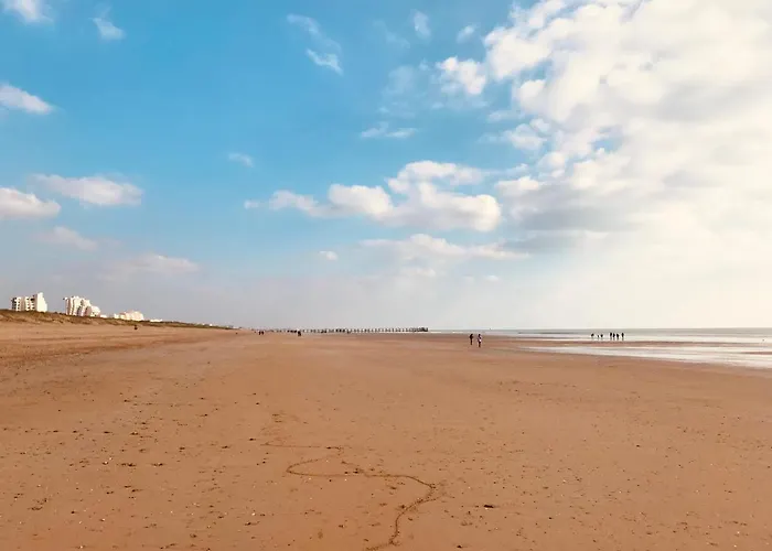 Neuf Deco Vintage Face Mer,terrasse ,jardin,wifi,parking Sous-sol