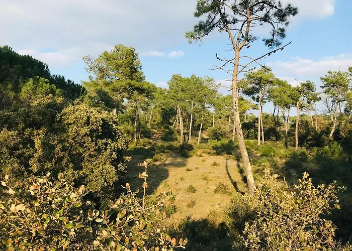 Neuf Déco Vintage Face Mer,terrasse ,jardin,wifi,parking Apartamento *