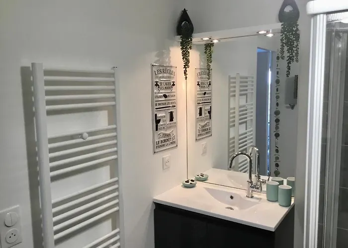 Apartamento Neuf Déco Vintage Face Mer,terrasse ,jardin,wifi,parking